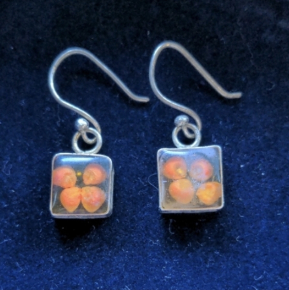Vintage 925 Sterling Silver Exotic Drop Earrings With Natural Plant Seeds